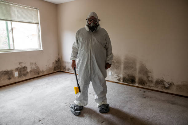 Best Residential Mold Removal  in Piketon, OH